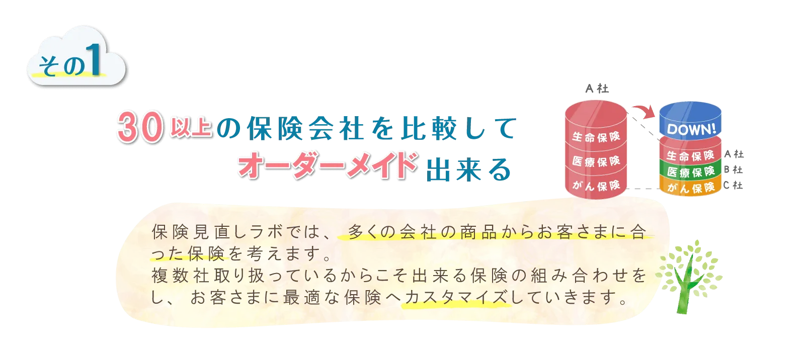 30社以上の保険会社を比較してオーダーメイド出来る