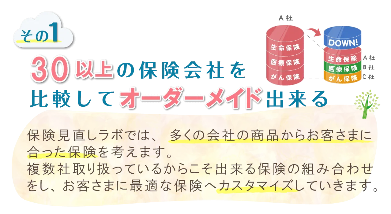 30社以上の保険会社を比較してオーダーメイド出来る